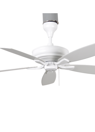 Fern Espresso Ceiling Fan