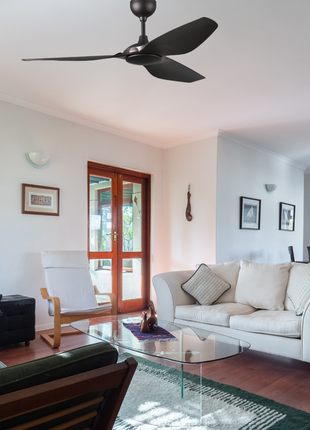 Camry Ceiling fan