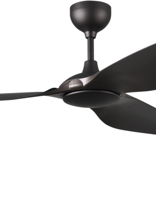 Camry Ceiling fan