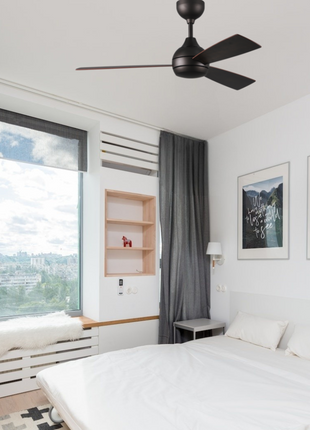 Camry Ceiling fan
