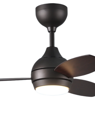 Jazz Ceiling fan