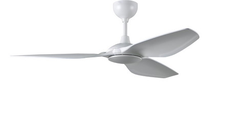 Camry Ceiling fan