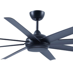 Collection image for: Airo