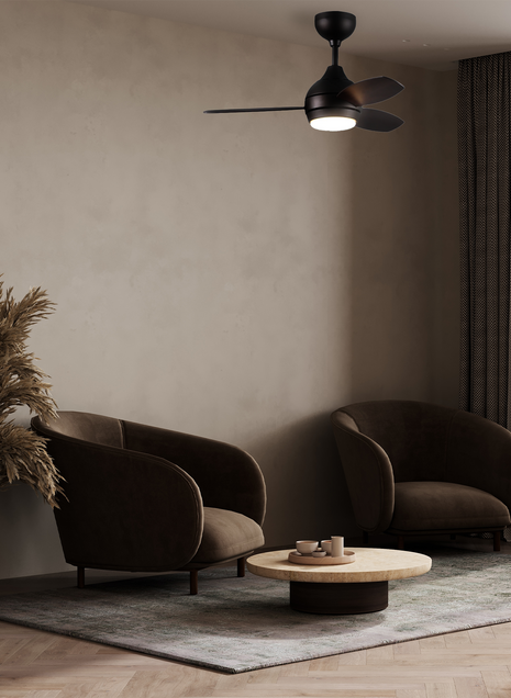 Jazz Ceiling fan