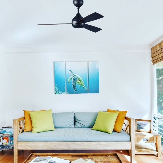 Banner image for: <h3>Feeling the breeze and staying cool</h3>